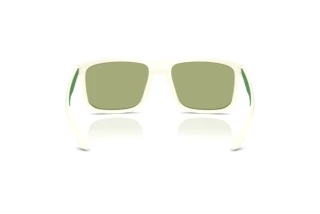 Achteraanzicht Emporio Armani EA4234U (618782)