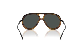 Achteraanzicht Emporio Armani EA4242U (621287)