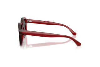 Zijaanzicht Emporio Armani EA4245U (624887)