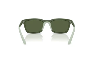 Achteraanzicht Emporio Armani EA4249U (625971)