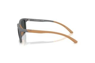Zijaanzicht Emporio Armani EA4249U (626187)