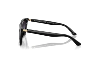 Zijaanzicht Emporio Armani EA4250U (50178G)