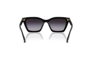 Achteraanzicht Emporio Armani EA4250U (50178G)