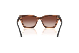 Achteraanzicht Emporio Armani EA4250U (626613)
