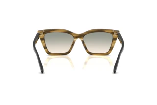 Achteraanzicht Emporio Armani EA4250U (62672C)
