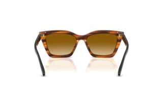 Achteraanzicht Emporio Armani EA4250U (62682L)