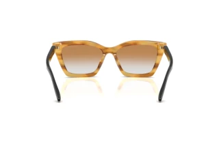 Achteraanzicht Emporio Armani EA4250U (62692Q)