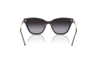 Achteraanzicht Emporio Armani EA4251 (62628G)