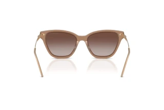 Achteraanzicht Emporio Armani EA4251 (626313)