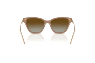 Achteraanzicht Emporio Armani EA4251 (6263T5)