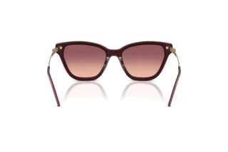 Achteraanzicht Emporio Armani EA4251 (62658D)