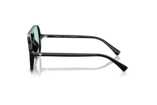 Zijaanzicht Emporio Armani EA4252U (501765)