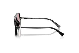 Zijaanzicht Emporio Armani EA4252U (501773)