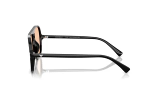Zijaanzicht Emporio Armani EA4252U (501793)