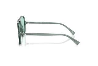 Zijaanzicht Emporio Armani EA4252U (627065)