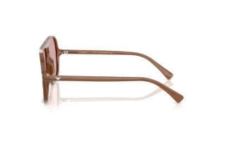 Zijaanzicht Emporio Armani EA4252U (627173)