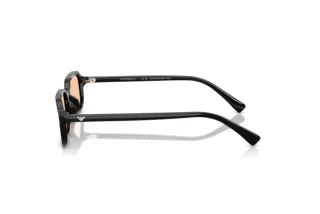 Zijaanzicht Emporio Armani EA4253U (501793)
