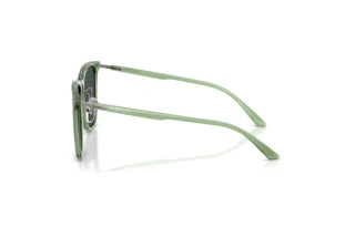 Zijaanzicht Emporio Armani EA4255D (536287)