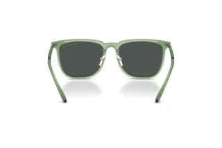 Achteraanzicht Emporio Armani EA4255D (536287)