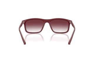 Achteraanzicht Emporio Armani EA4257U (52618H)