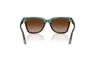 Achteraanzicht Emporio Armani EA4261 (631813)