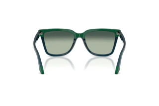 Achteraanzicht Emporio Armani EA4261 (631919)