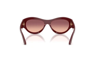Achteraanzicht Emporio Armani EA4265U (63238D)