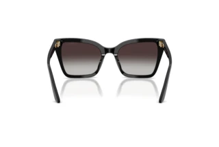 Achteraanzicht Emporio Armani EA4273BU (50178G)