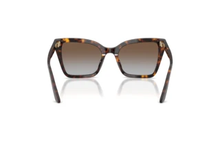Achteraanzicht Emporio Armani EA4273BU (502689)
