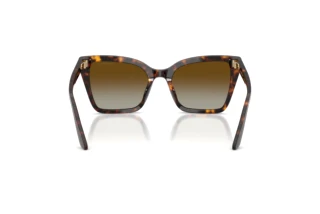 Achteraanzicht Emporio Armani EA4273BU (5026T5)