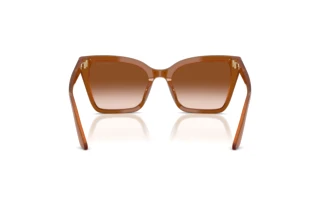 Achteraanzicht Emporio Armani EA4273BU (637613)