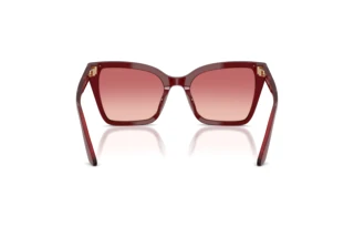 Achteraanzicht Emporio Armani EA4273BU (6377A5)