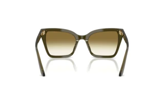 Achteraanzicht Emporio Armani EA4273BU (63788E)