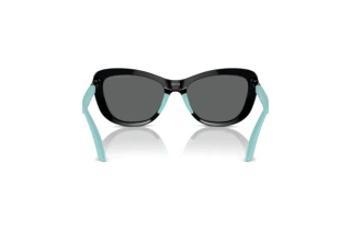 Achteraanzicht Emporio Armani EK4004 (501787)