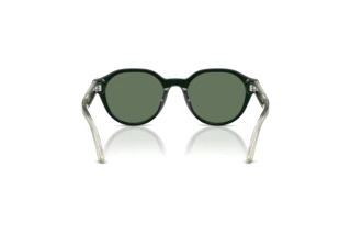 Achteraanzicht Emporio Armani EK4008U (638182)