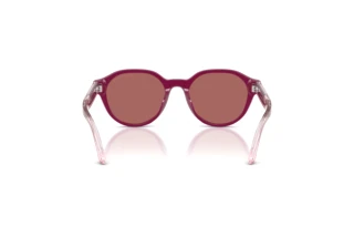 Achteraanzicht Emporio Armani EK4008U (638369)