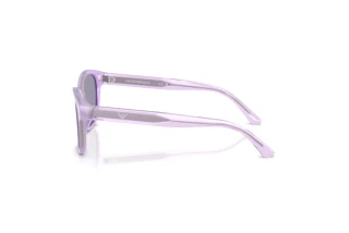 Zijaanzicht Emporio Armani EK4009U (638880)