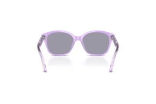 Achteraanzicht Emporio Armani EK4009U (638880)