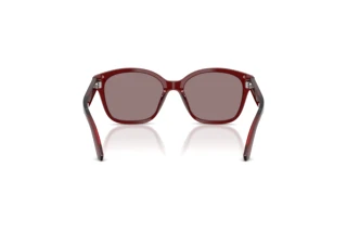 Achteraanzicht Emporio Armani EK4009U (63897N)