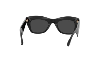 Achteraanzicht Etro ETRO 0004/G/S (807/IR)