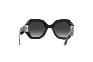 Achteraanzicht Etro ETRO 0009/S (807/9O)