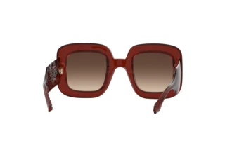 Achteraanzicht Etro ETRO 0015/S (2LF/HA)