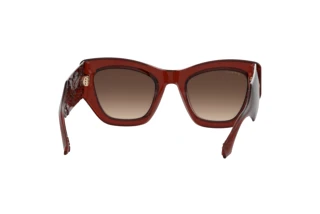 Achteraanzicht Etro ETRO 0017/S (2LF/HA)