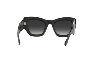 Achteraanzicht Etro ETRO 0017/S (KB7/9O)