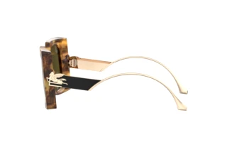 Zijaanzicht Etro ETRO 0026/S (EPZ/QT)