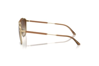 Zijaanzicht Giorgio Armani AR6149 (300213)