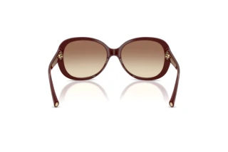 Achteraanzicht Giorgio Armani AR8047 (639913)