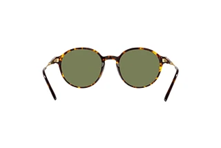 Achteraanzicht Giorgio Armani AR8160 (50262A)