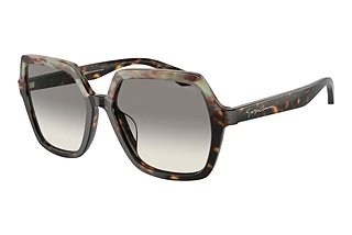 Giorgio Armani AR8193U 587932 Clear Gradient GreyHavana Green/Havana