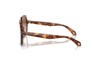Zijaanzicht Giorgio Armani AR8193U (603351)